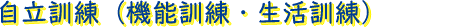 自立訓練（機能訓練・生活訓練）